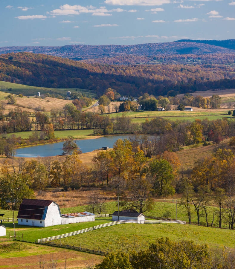 limo service Delaplane