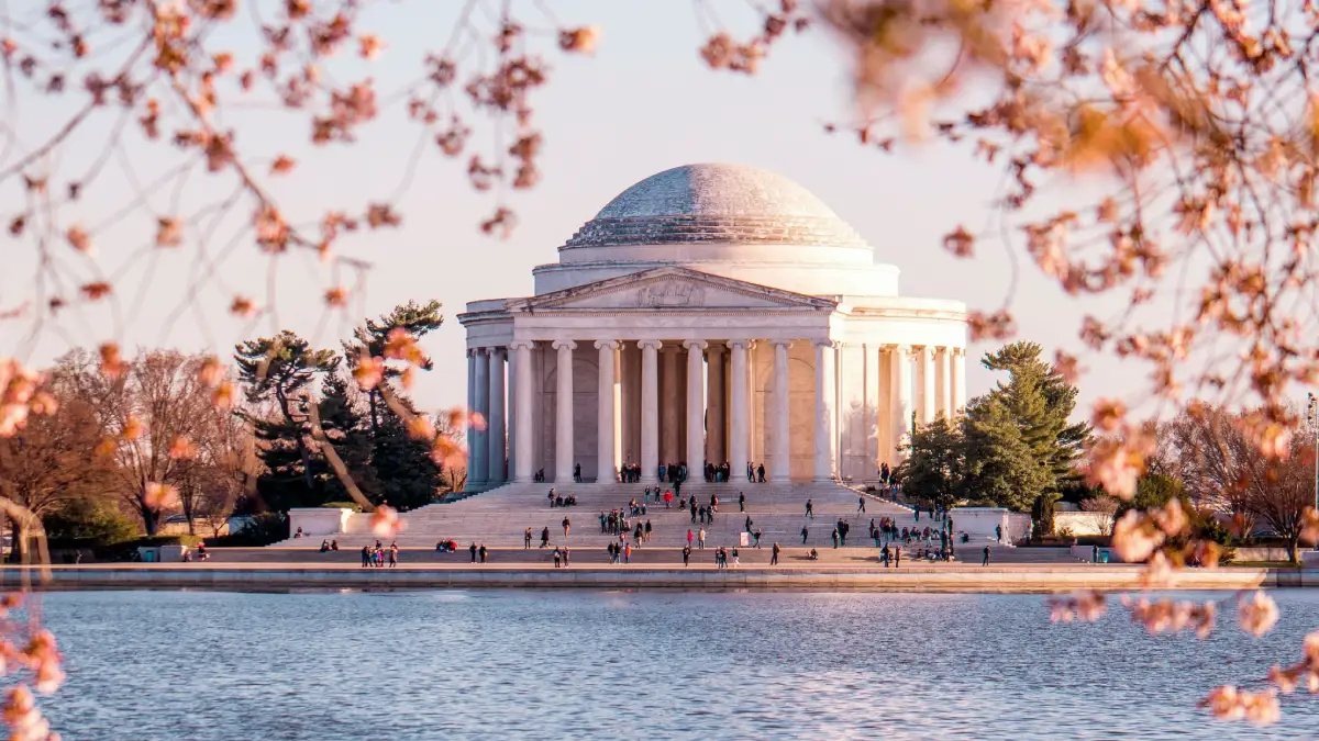 DC Limo Service for Stylish City Rides